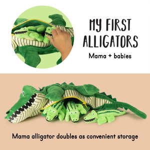Mom Alligator with 3 Babies