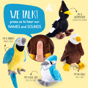 4 Talking Birds