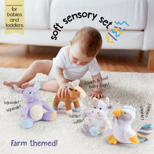 Load image into Gallery viewer, Sensory Barn Animals with Playmat